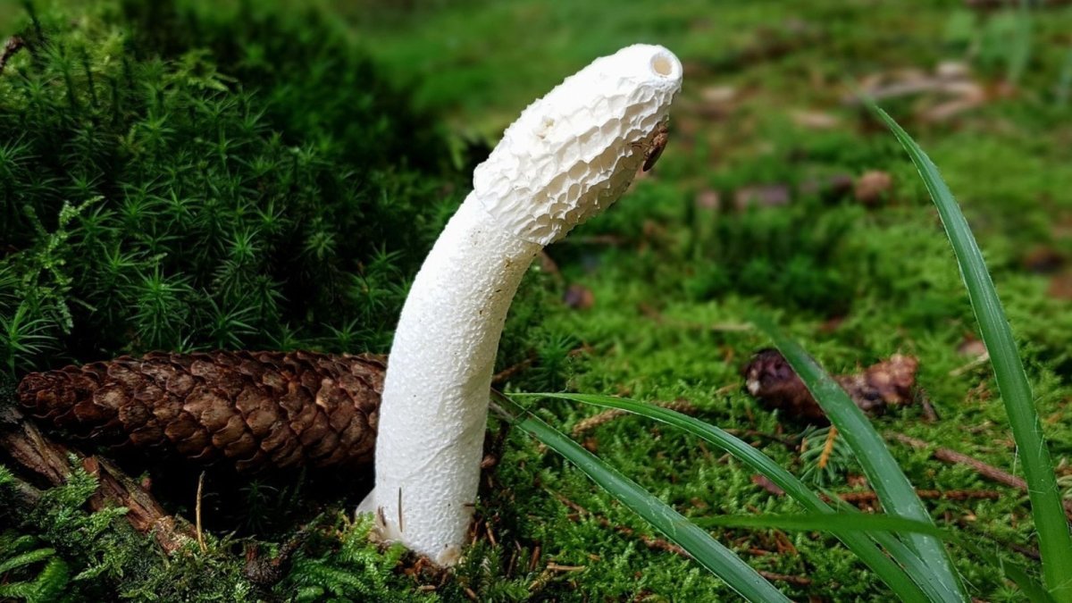 How to Exercise Your Penis to Increase Length and Girth? - Sohimi