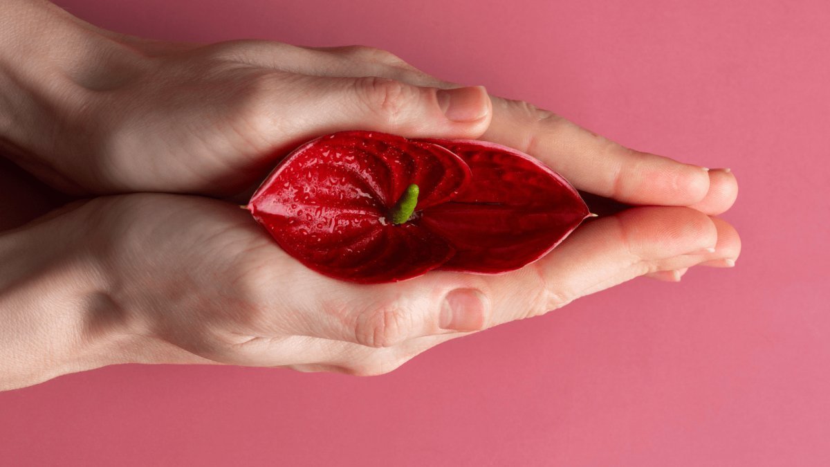 How to Use a Clit Sucker: The Ultimate Guide for Enhanced Pleasure - Sohimi