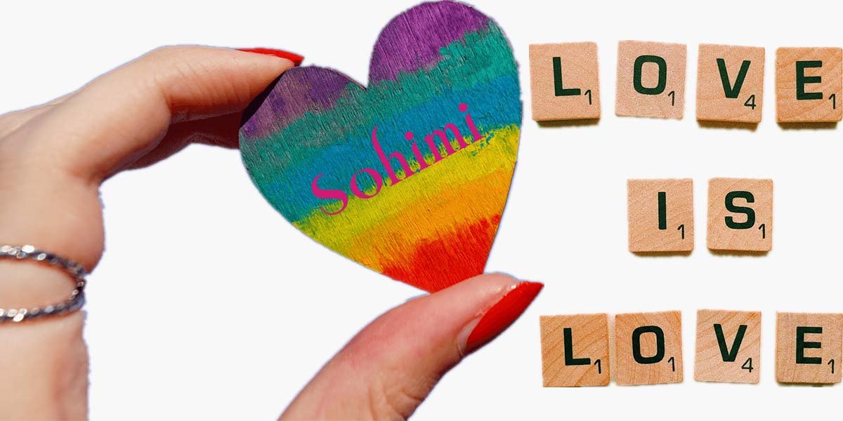 LGBTQ+ Sex Toys That You Can Buy - Sohimi