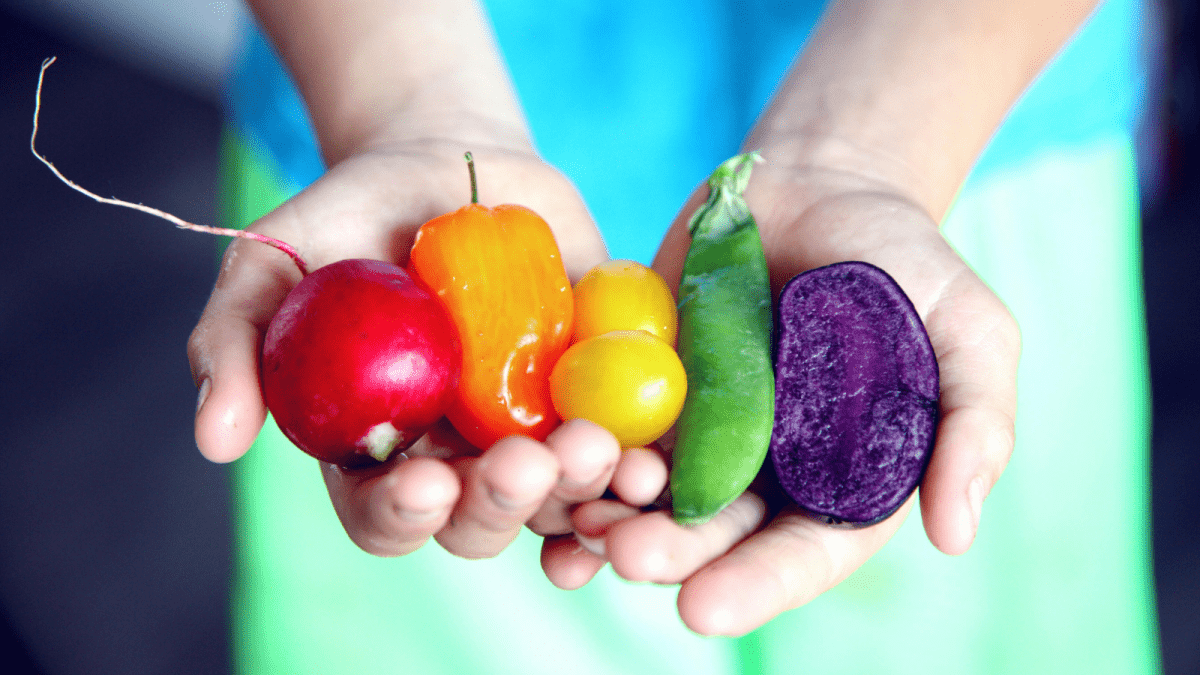 Sohimi‘s Switch to Vegetables Instead of Masturbator Toy - Sohimi