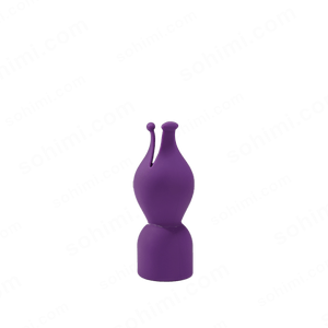 DADUN| 4 in1 Multifunctional Powerful Wand Vibrator Sex Toy Kit - Sohimi
