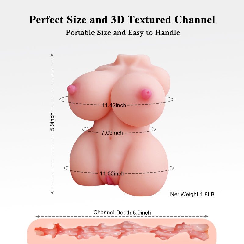Torso masturbator information graphic showing torso shell
