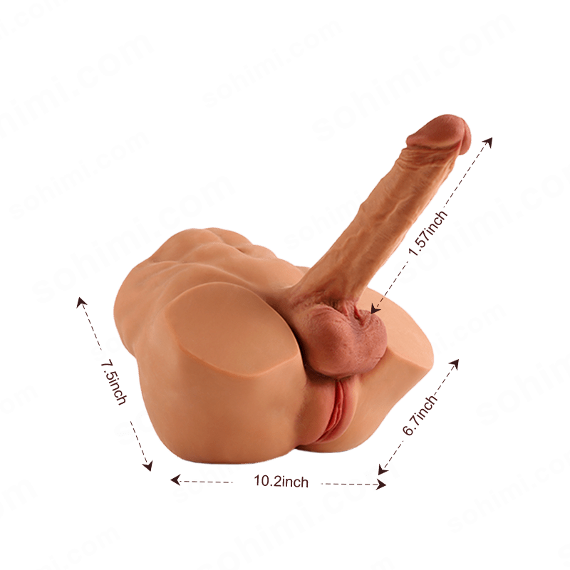 Realistic Torso Male Sex Doll Masturbator with Dildo - Sohimi