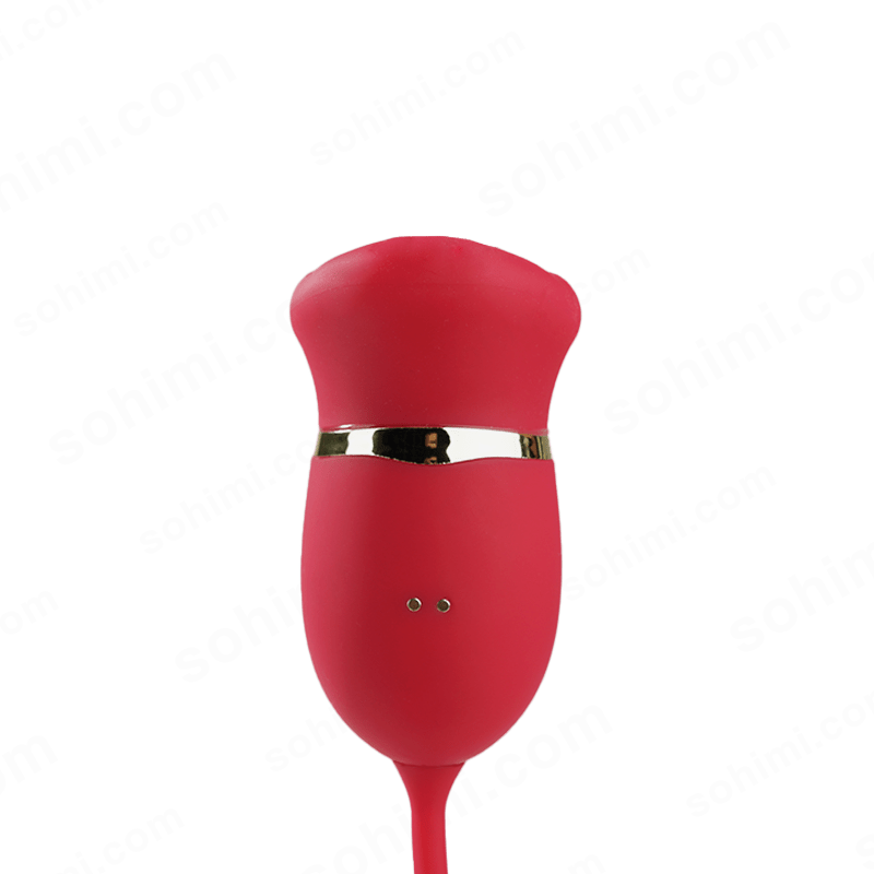 REDLIPS| 4 in 1 Licking Sucking Flapping and Vibrating G - Spot Clit Stimulator - Sohimi