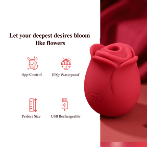 ROSELLA| App - Control 10 - Mode Rose Suction Vibrator - Sohimi