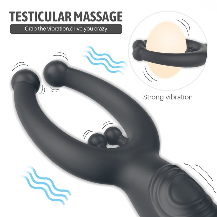 Anal Plug with Cock Ring Penis Multipoint Stimulator